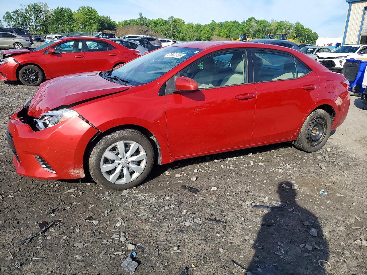 Salvage Toyota Corolla Image