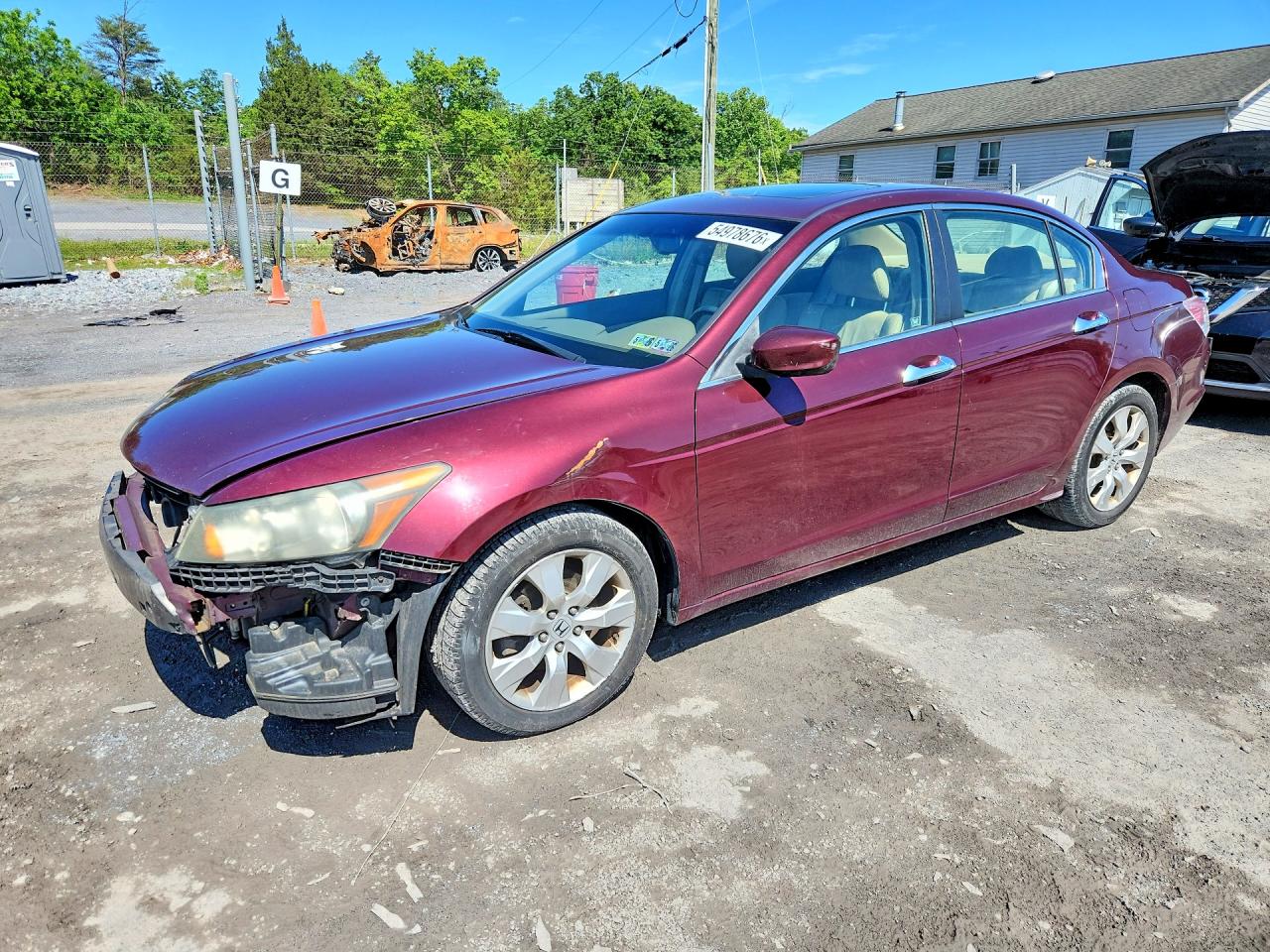 Salvage Honda Accord Image