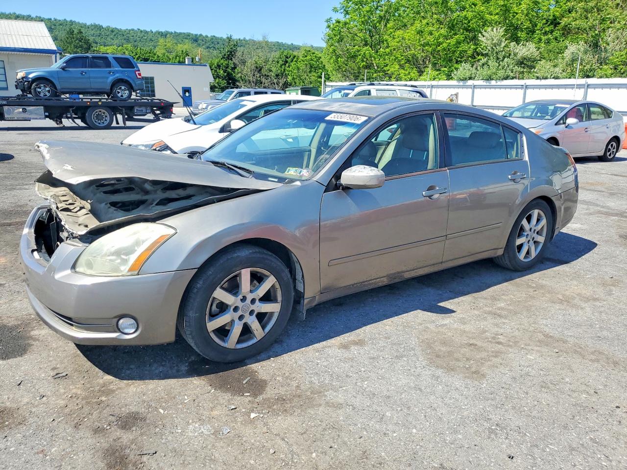 Salvage Nissan Maxima Image