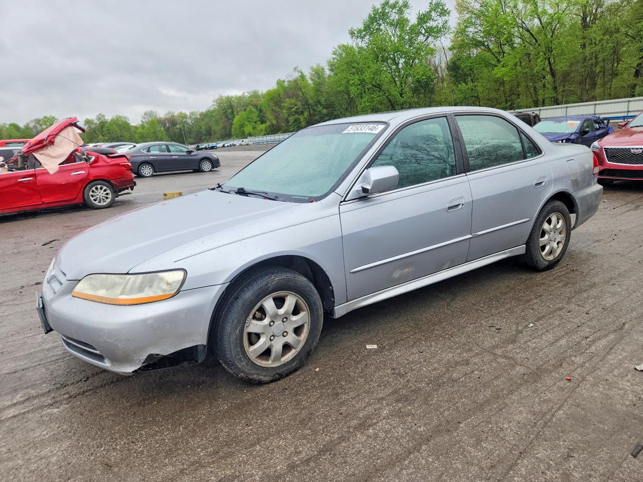 Salvage Honda Accord Image