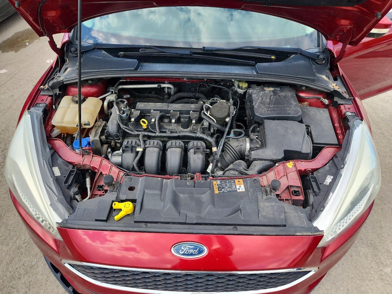 Ford Focus Se