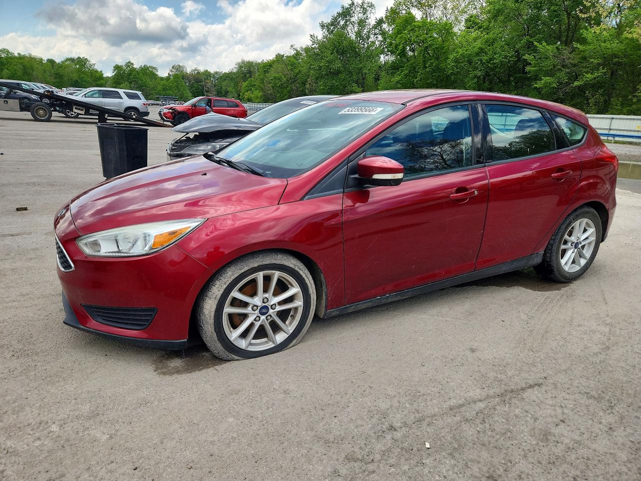 Salvage Ford Focus Image