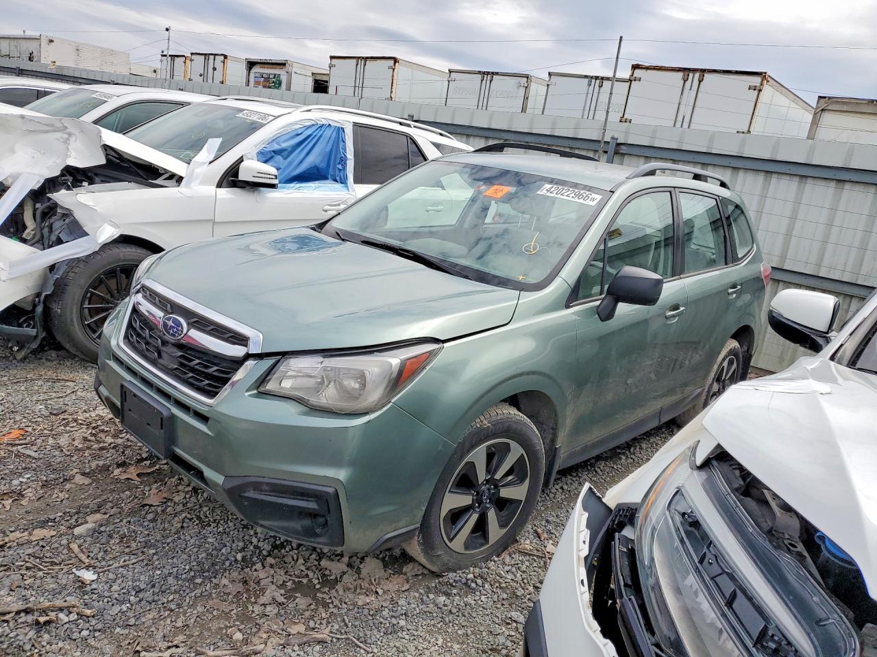 Salvage Subaru Forester Image
