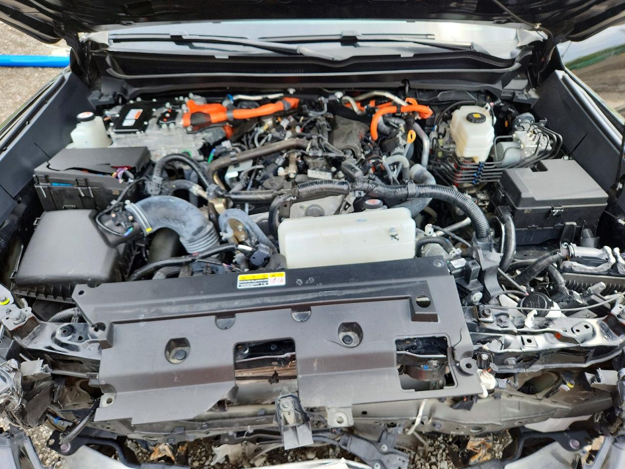 Toyota Tacoma Trd Sport Hv