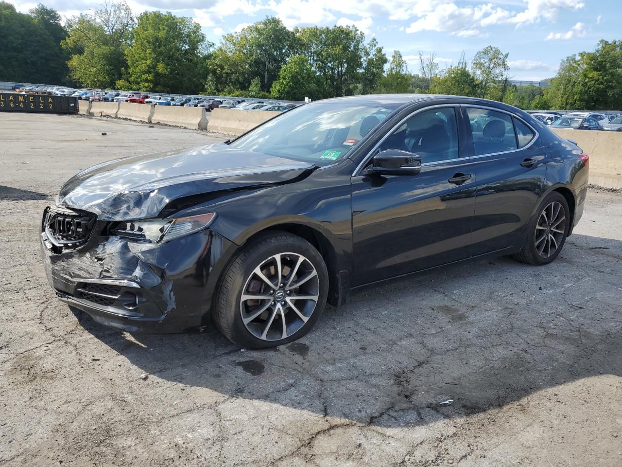 Salvage Acura TLX Image