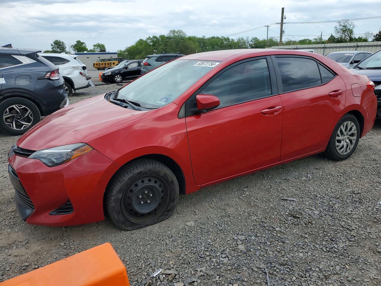Salvage Toyota Corolla Image