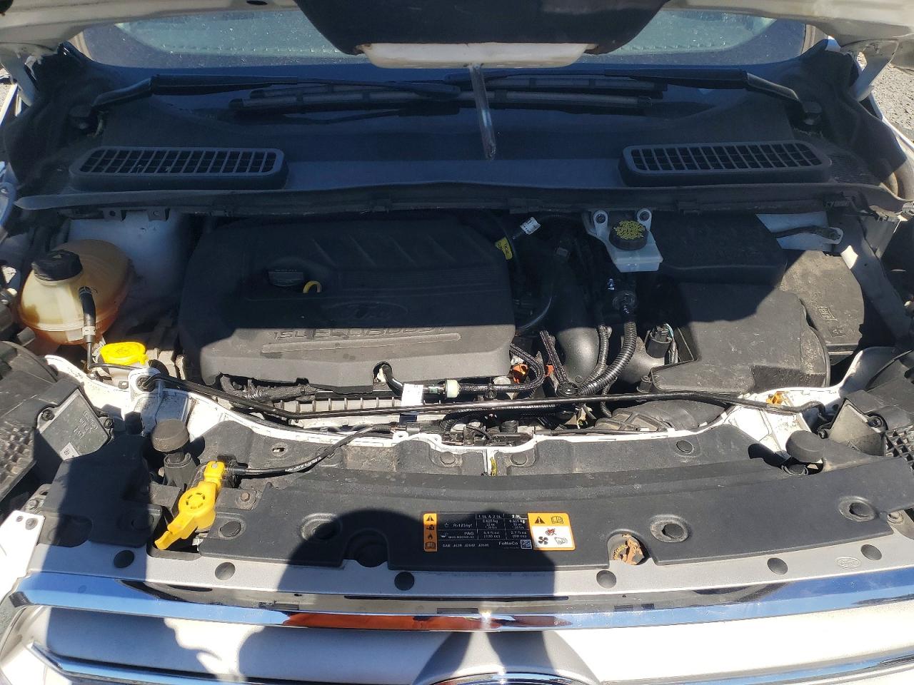 Ford Escape Sel