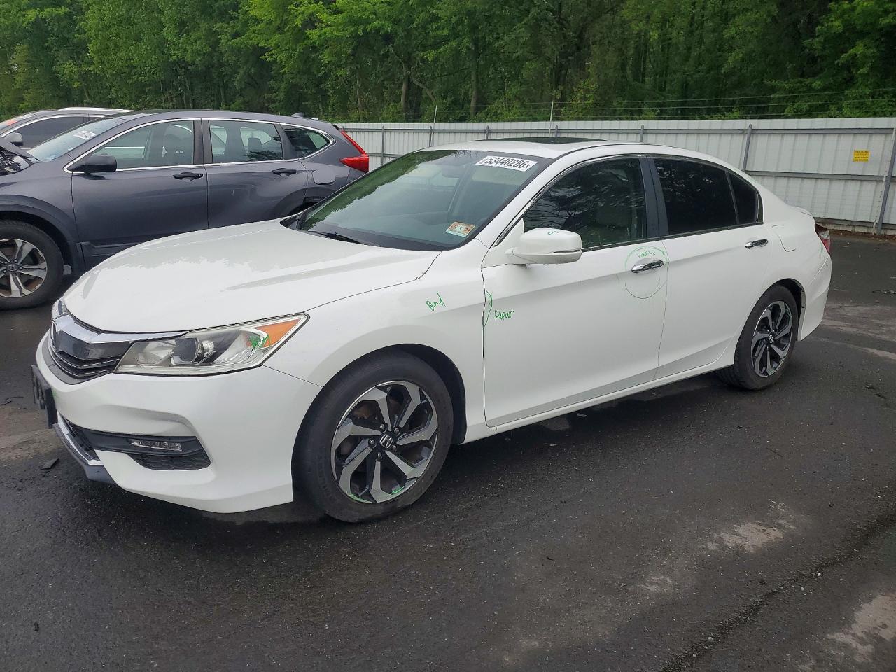 Salvage Honda Accord Image