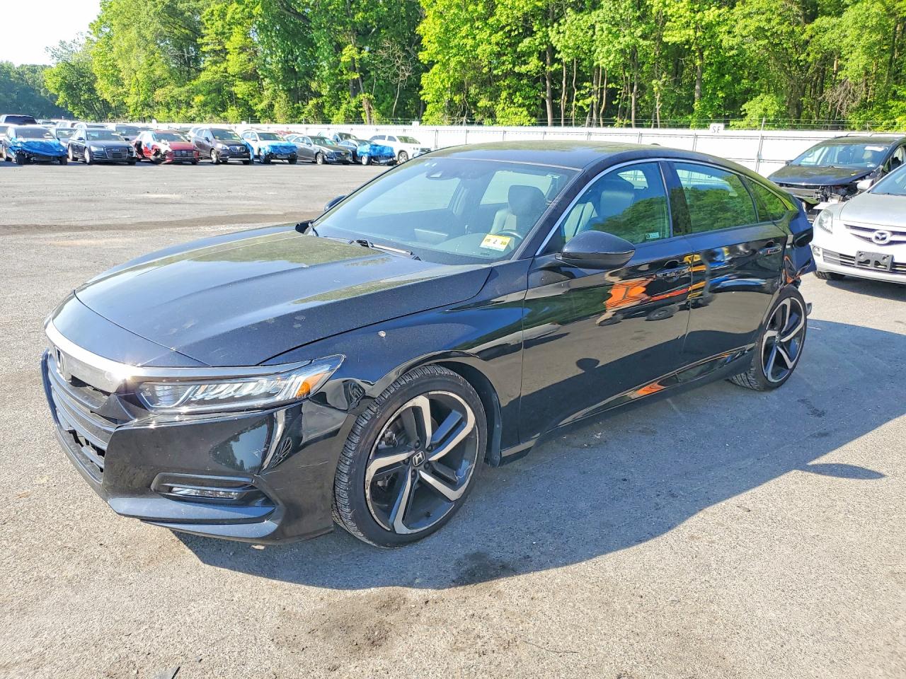 Salvage Honda Accord Image
