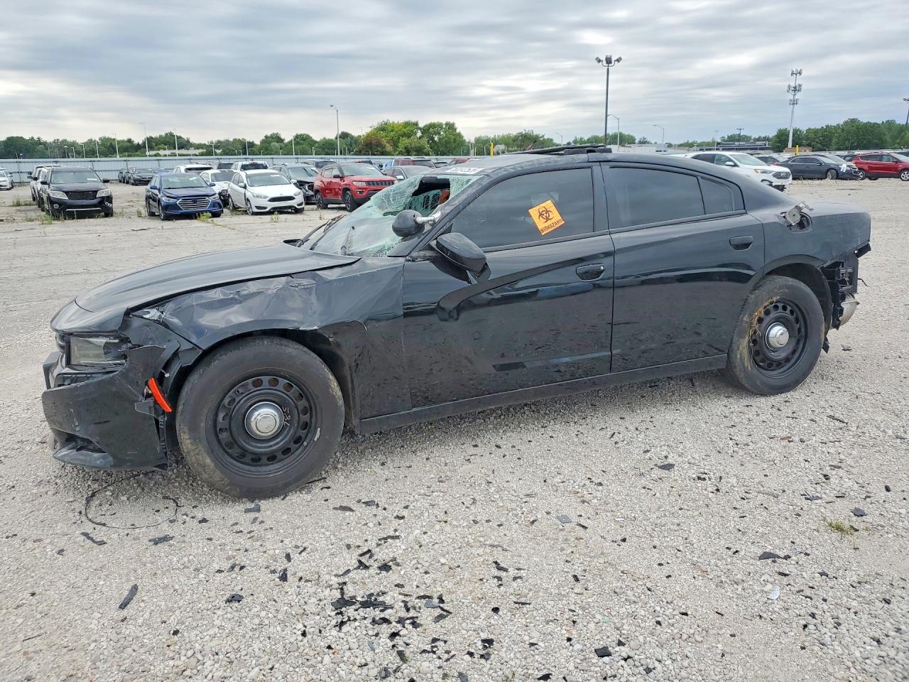 Salvage Dodge Charger Image