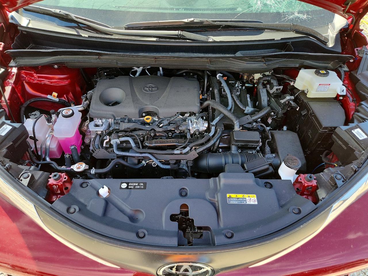 Toyota Sienna Xle 8-passenger