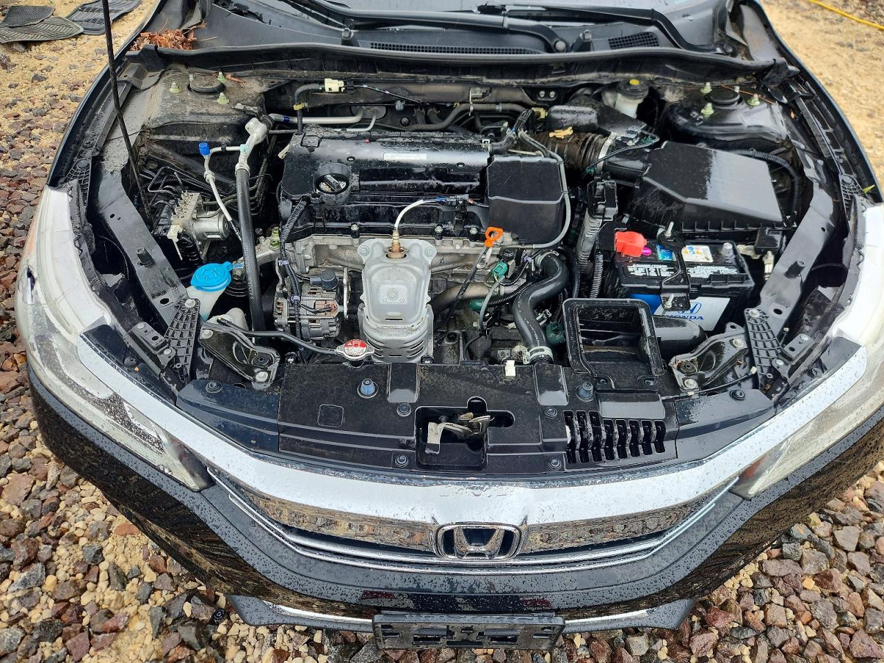 Honda Accord Lx