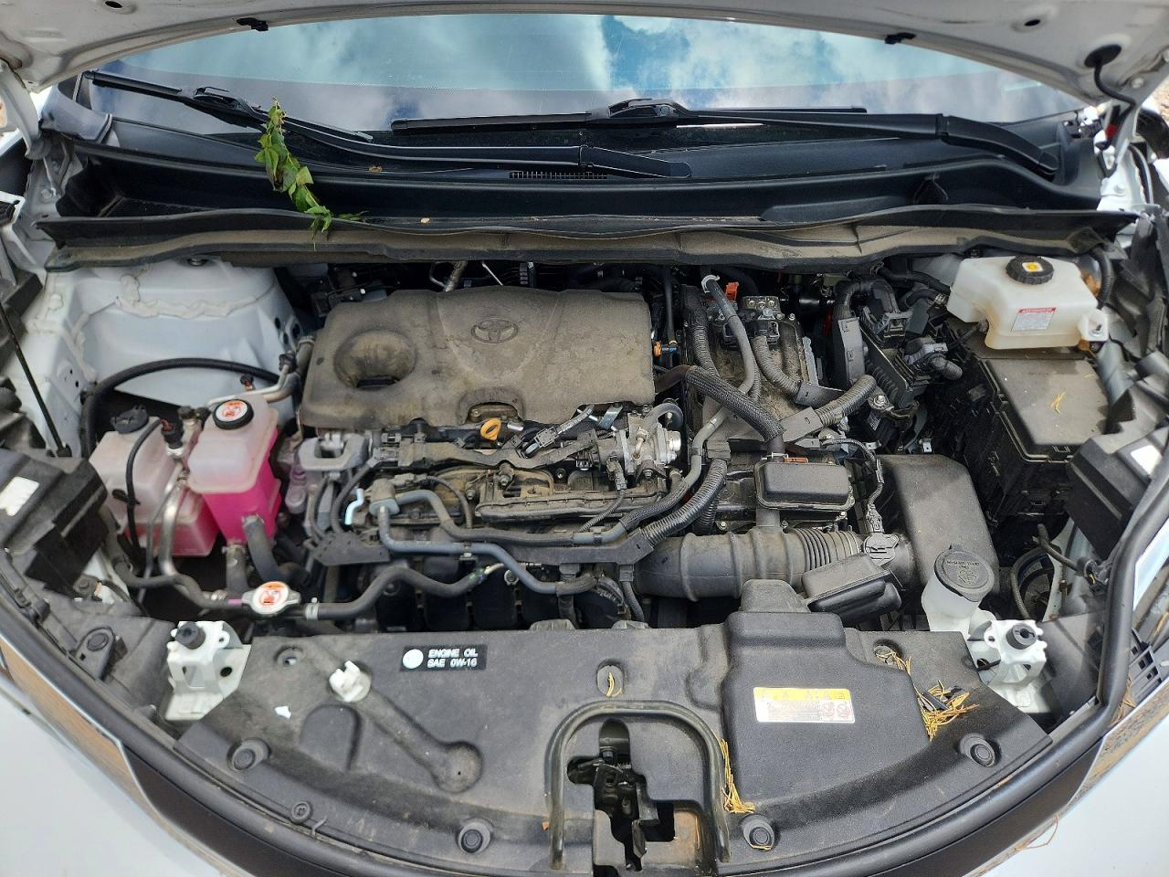 Toyota Sienna Xle