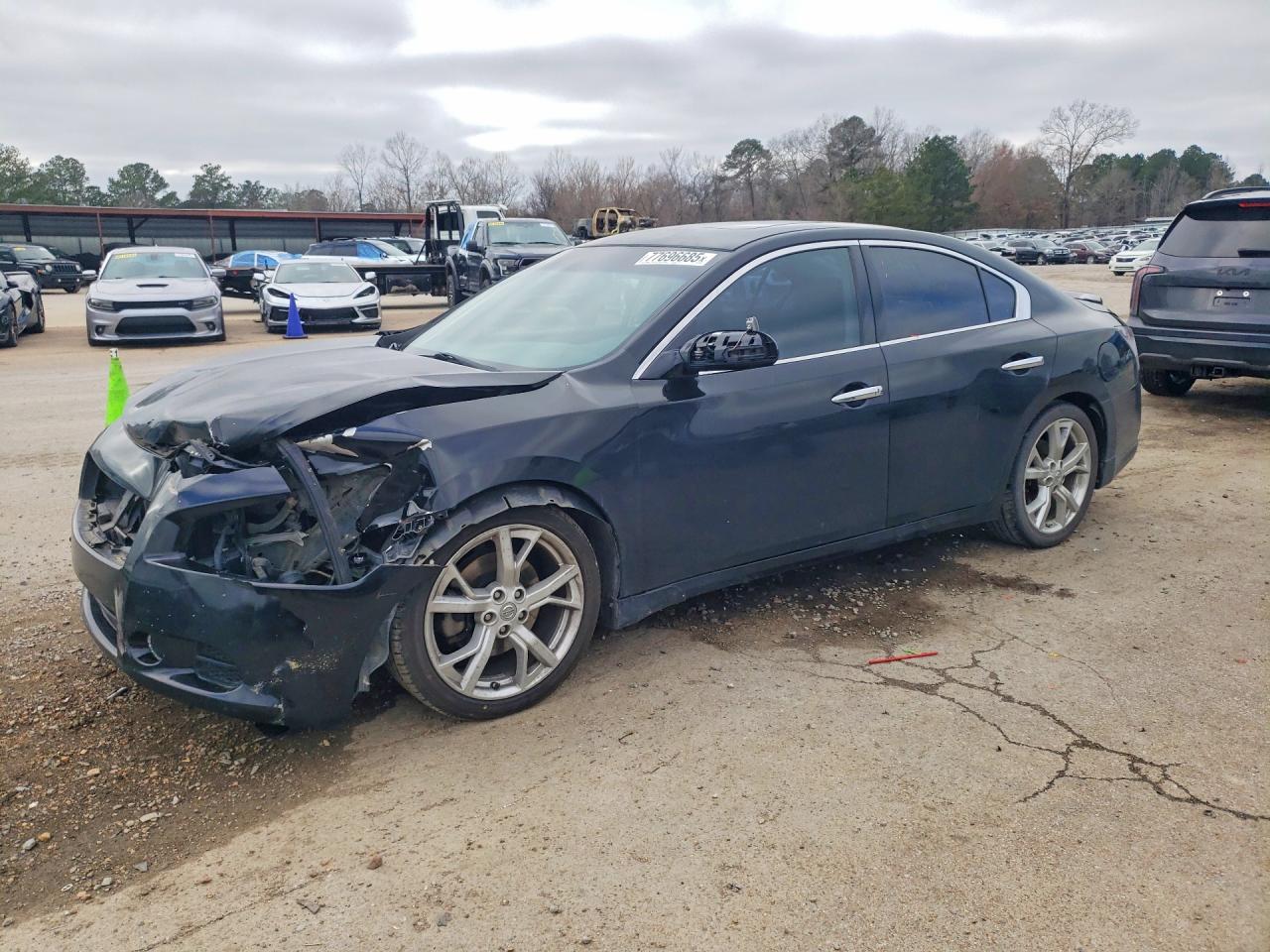 Salvage Nissan Maxima Image