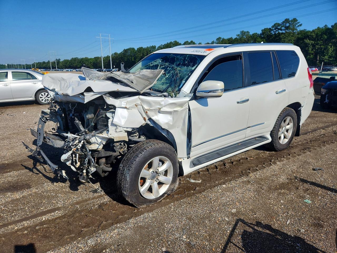 Salvage Lexus Gx Image