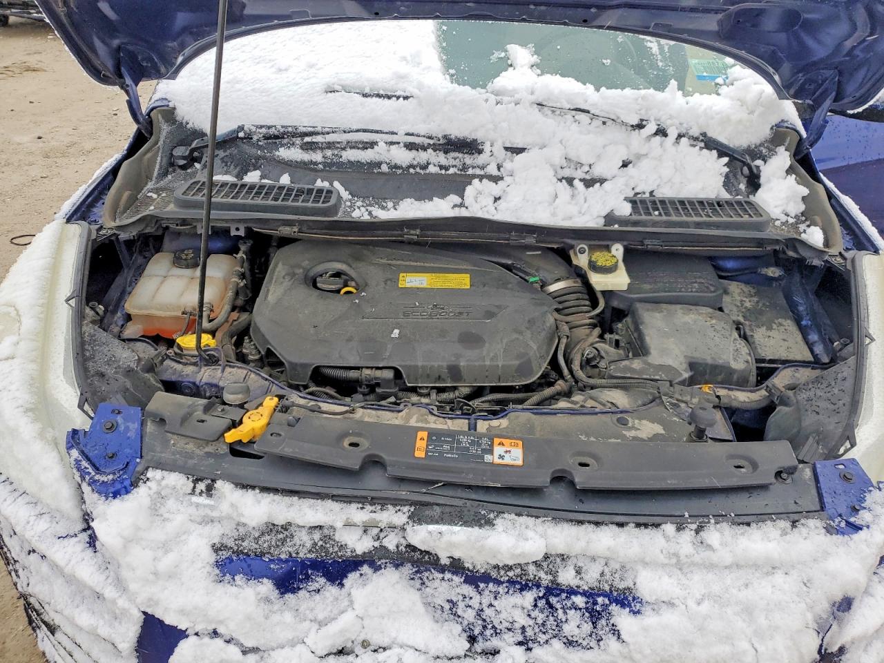 Ford Escape Se
