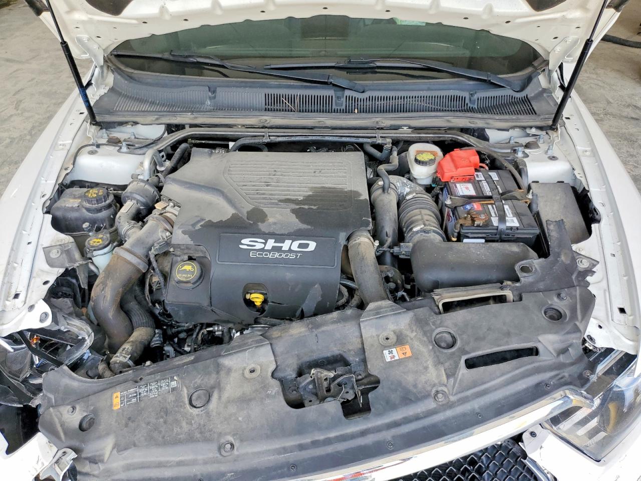 Ford Taurus Sho