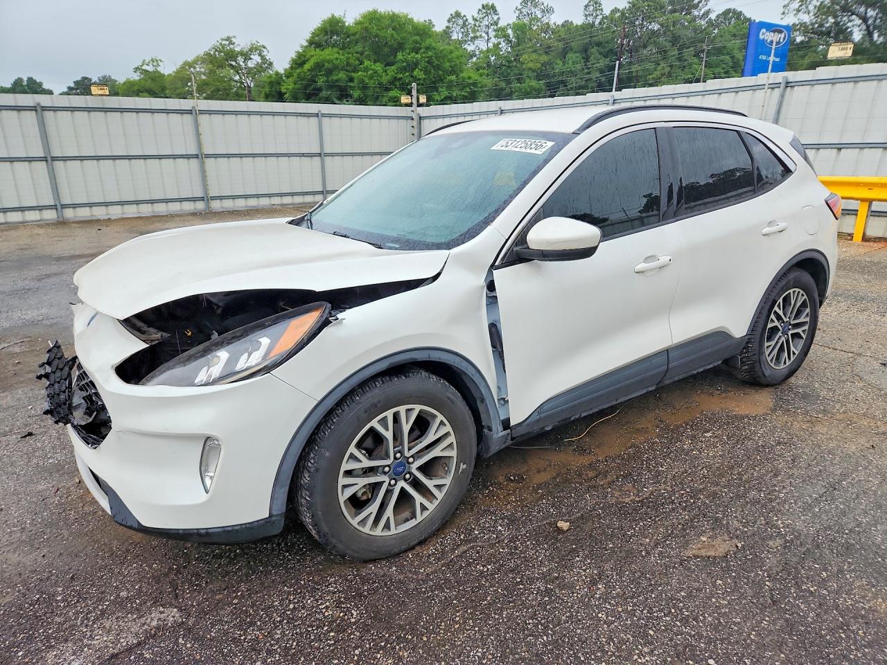 Salvage Ford Escape Image