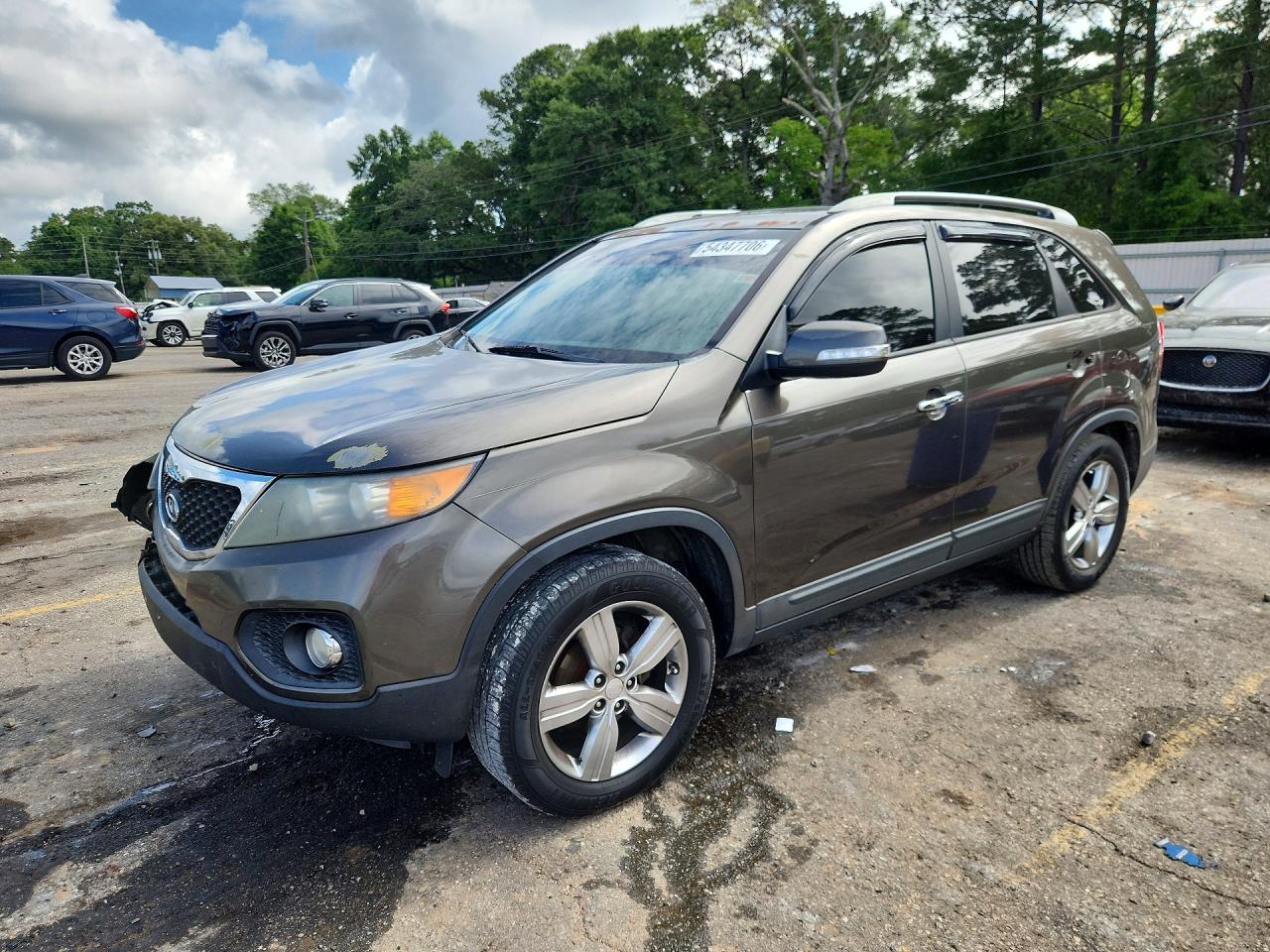 Salvage Kia Sorento Image