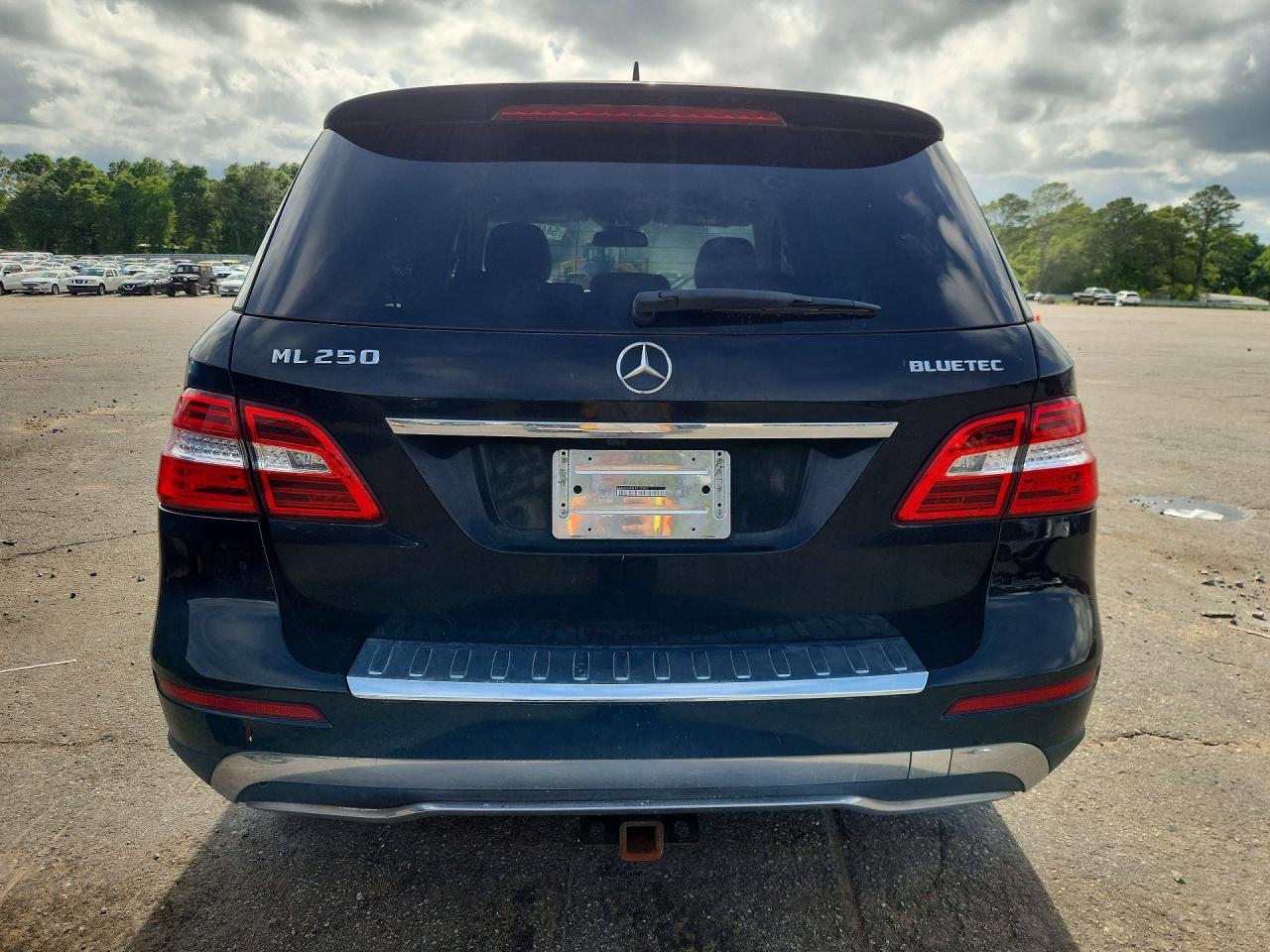Mercedes-Benz M-Class 250 Bluetec