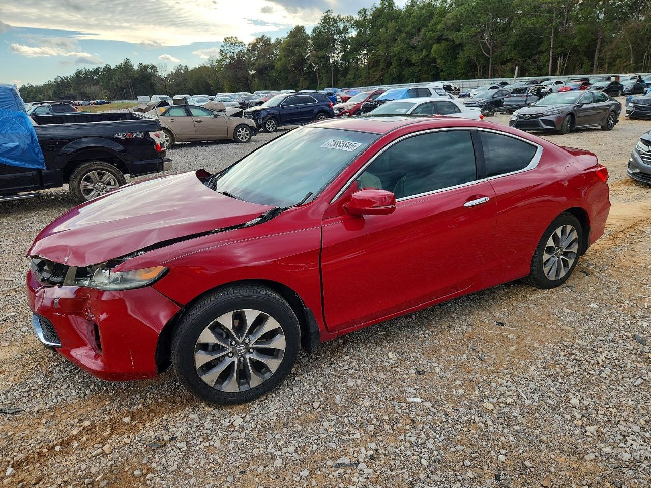 Salvage Honda Accord Image