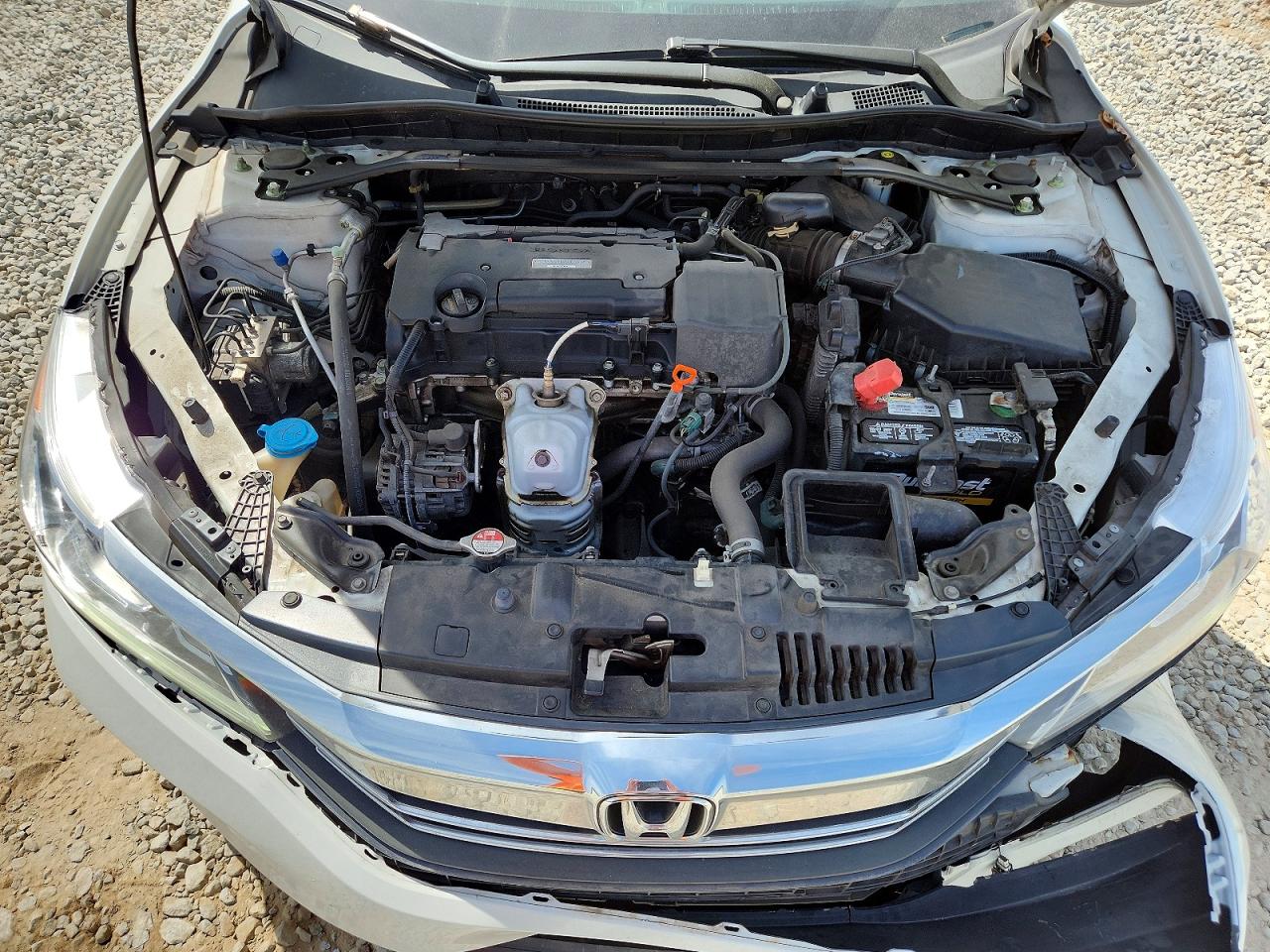Honda Accord Sport Special Edition