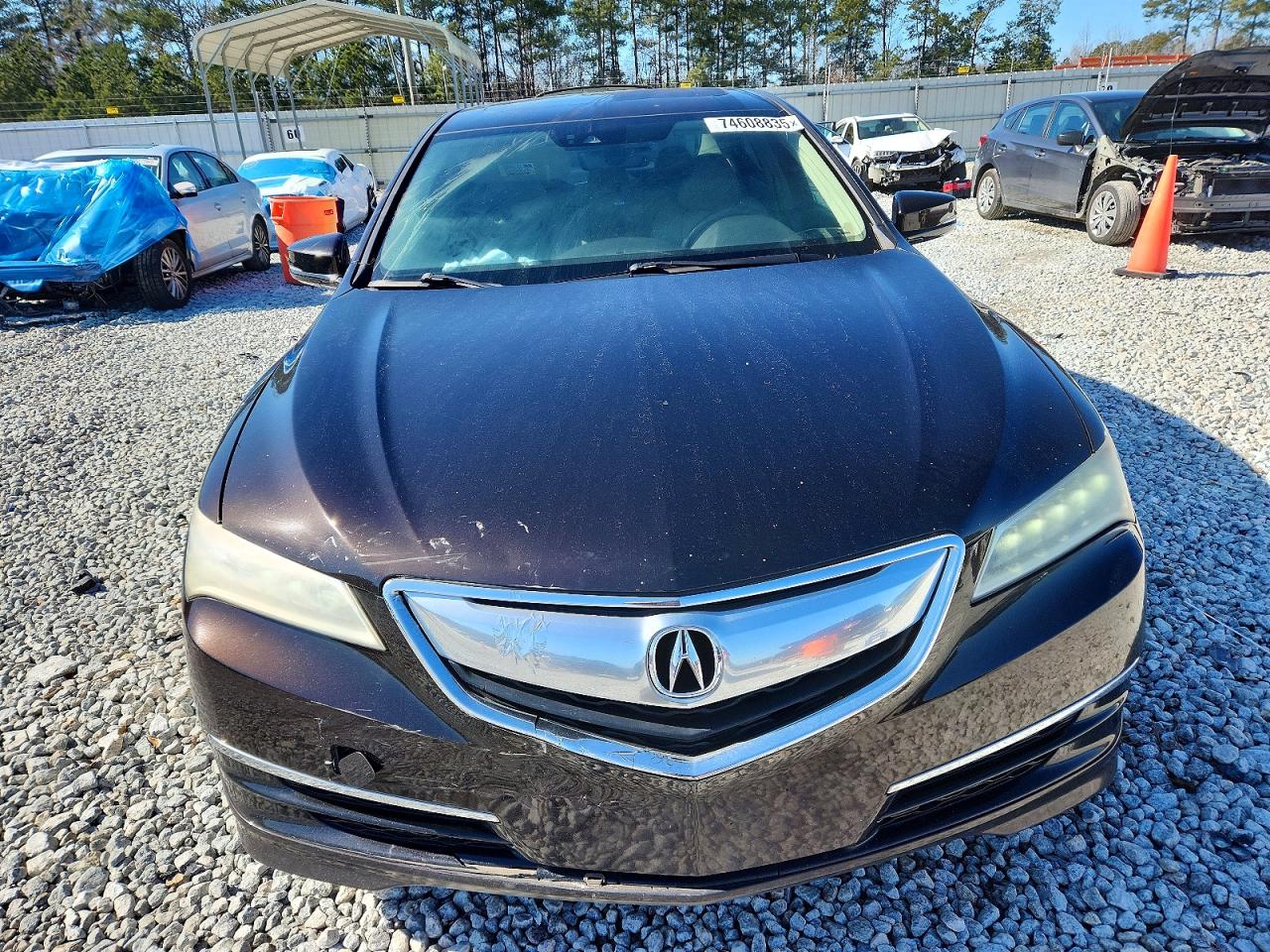 Acura TLX Tech