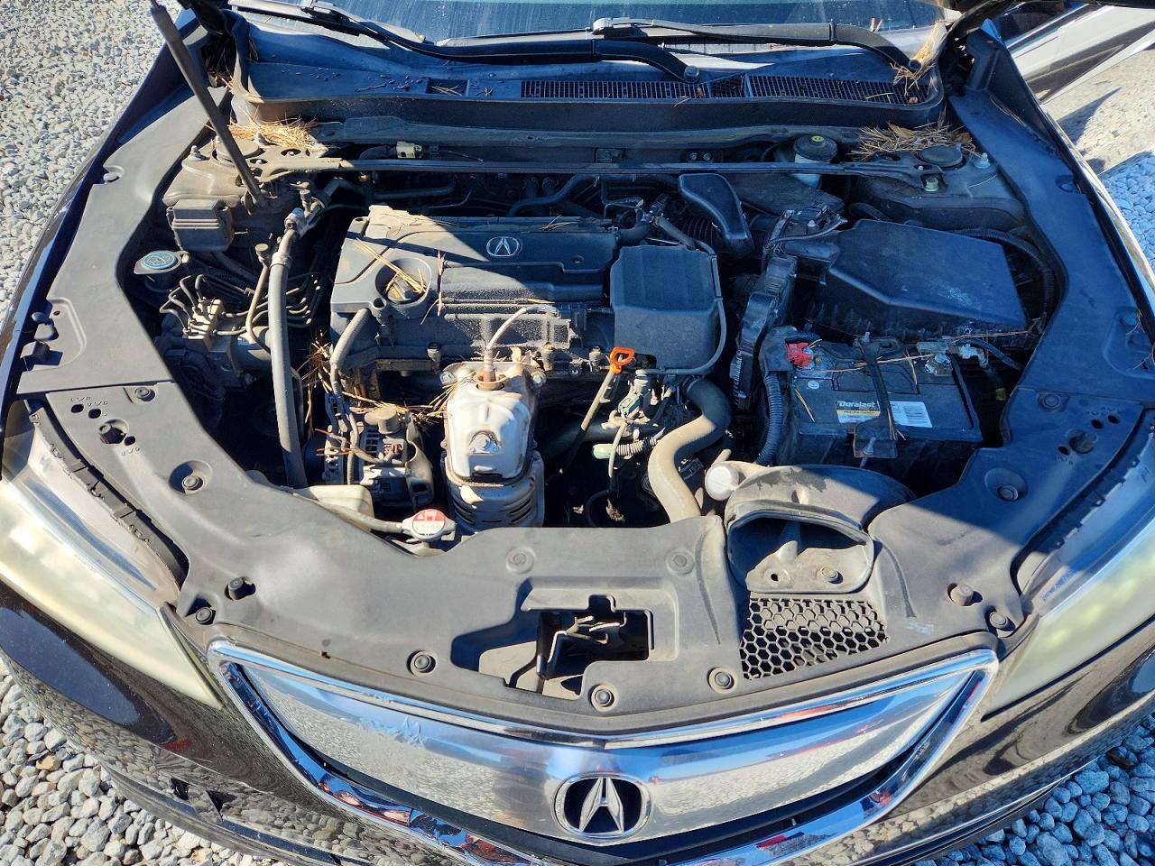 Acura TLX Tech