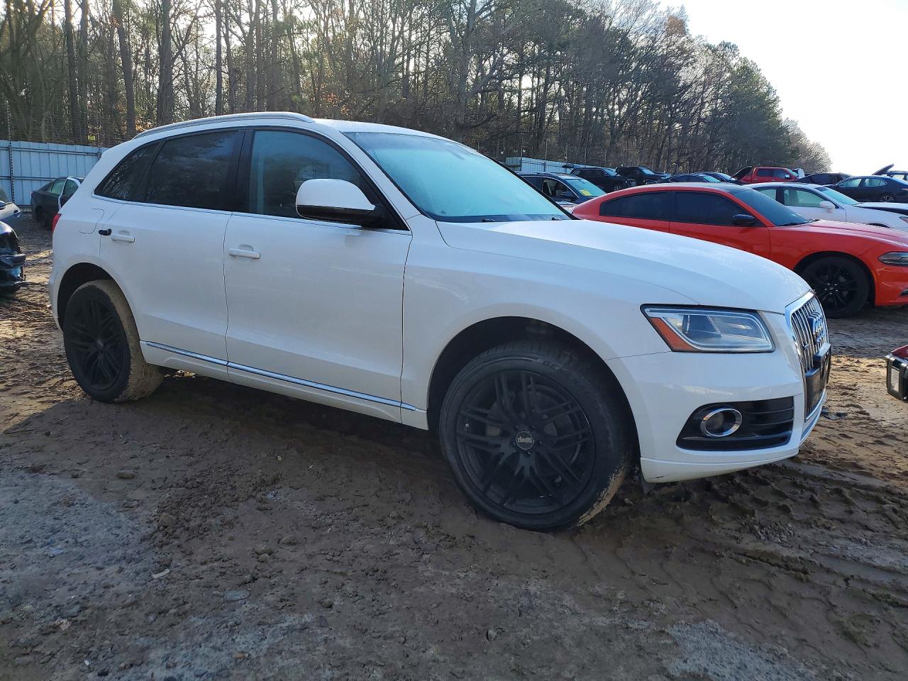 Audi Q5 Tdi Premium Plus