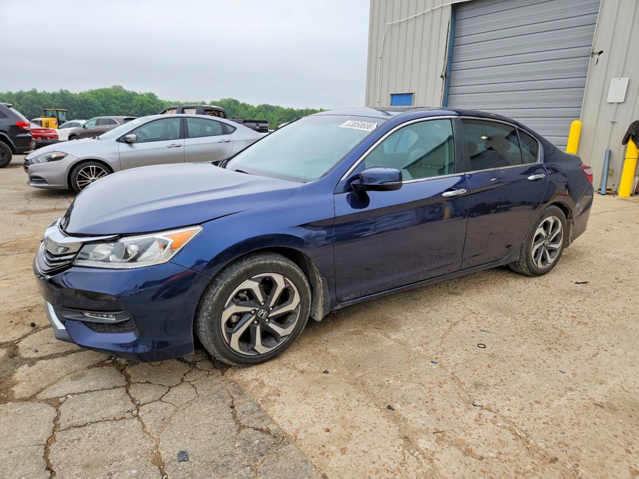 Salvage Honda Accord Image