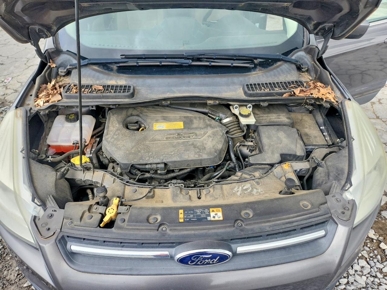 Ford Escape Se