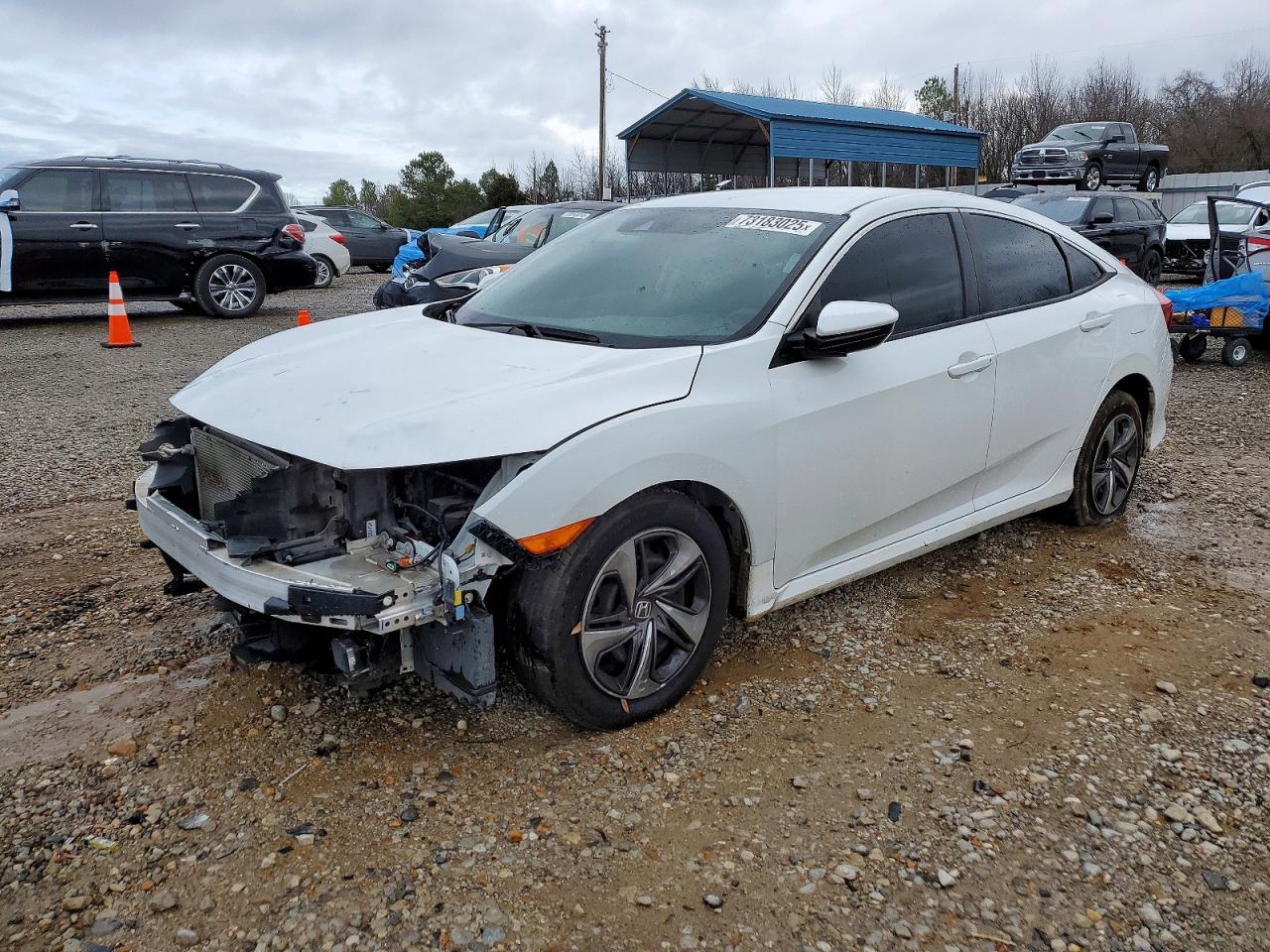 Salvage Honda Civic Image