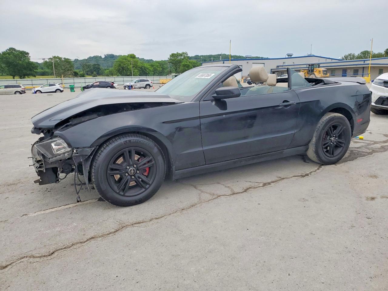 Salvage Ford Mustang Image