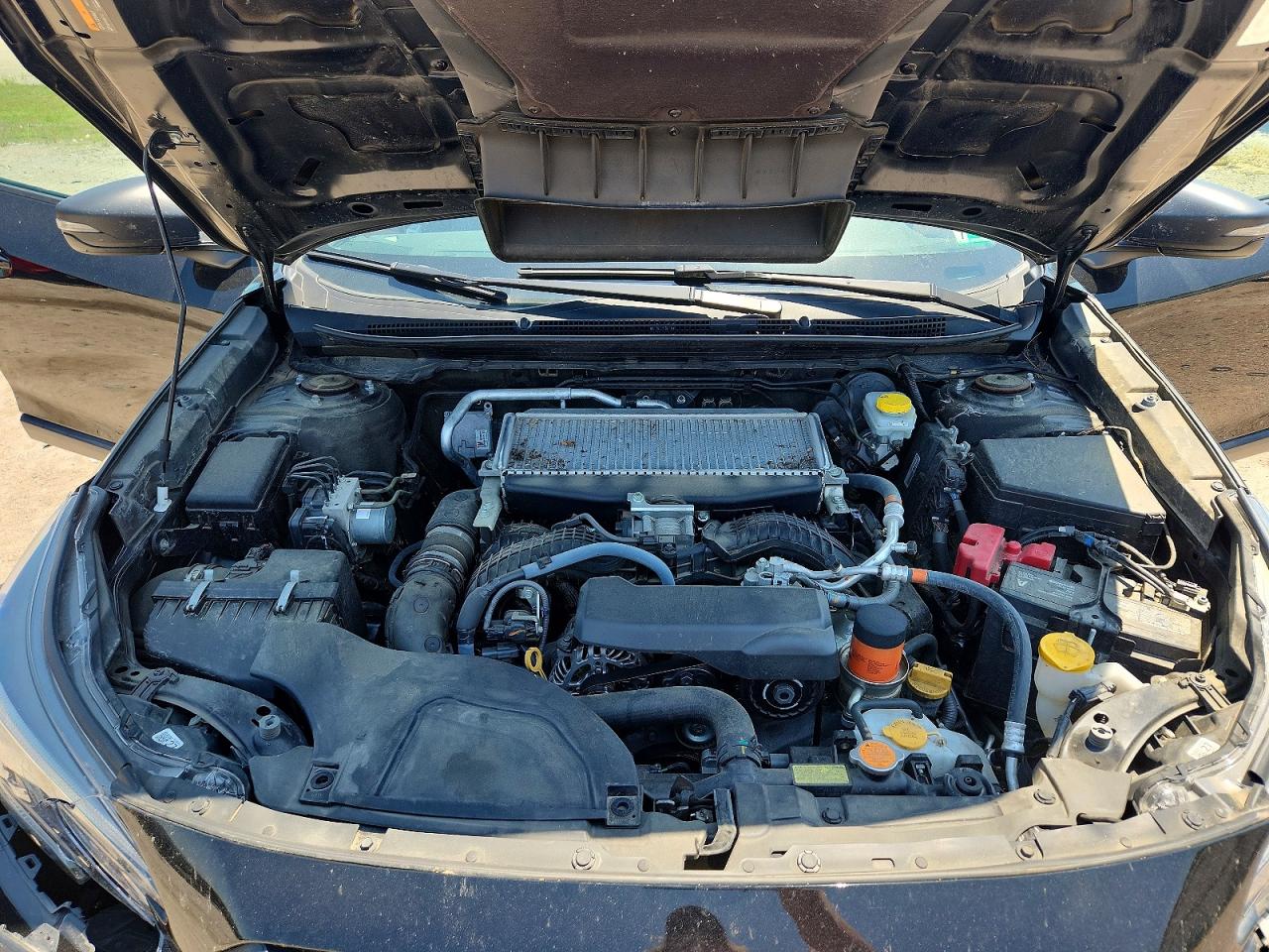 Subaru Outback Wilderness
