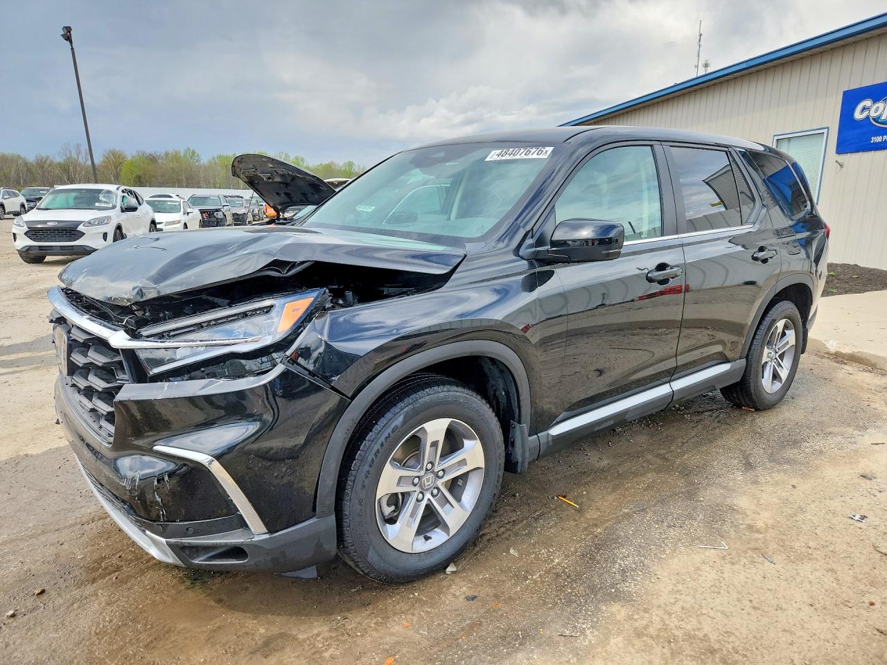 Salvage Honda Pilot Image
