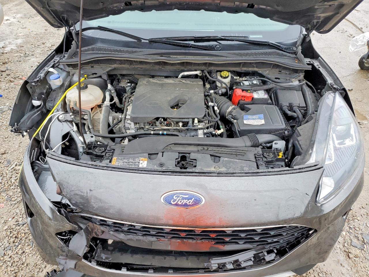 Ford Escape Se