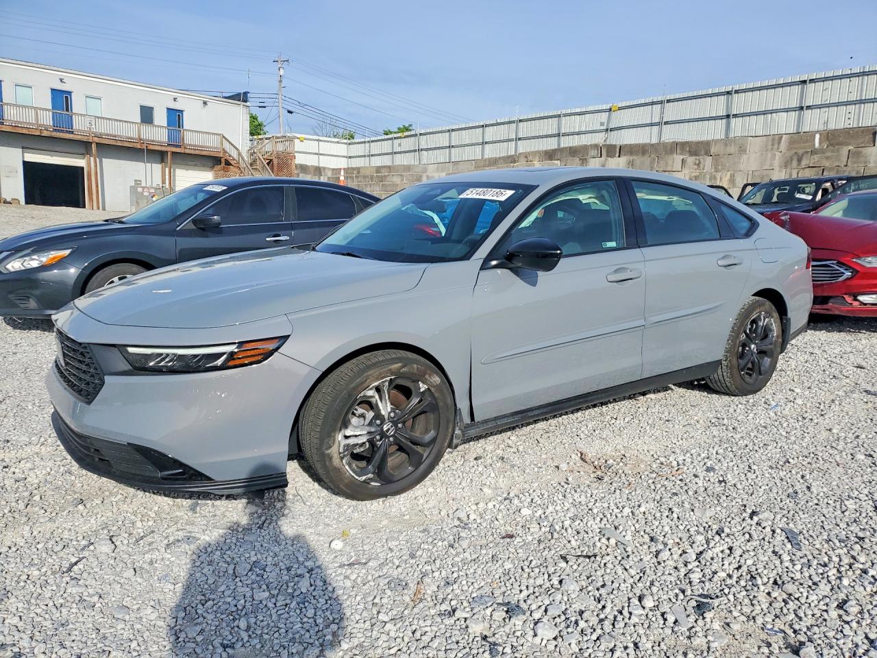 Salvage Honda Accord Image