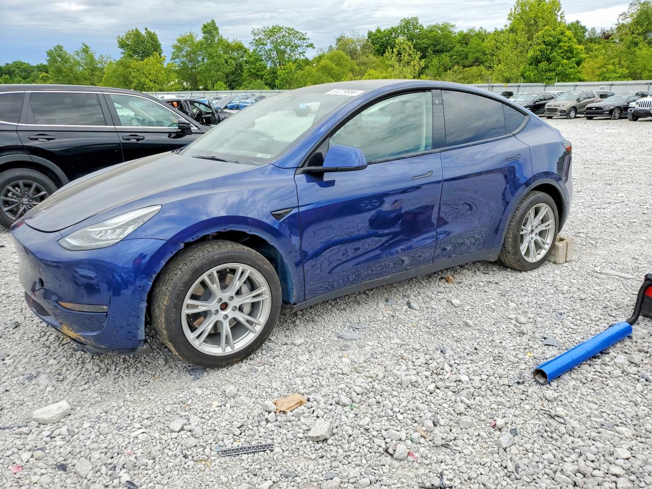Salvage Tesla Model Y Image