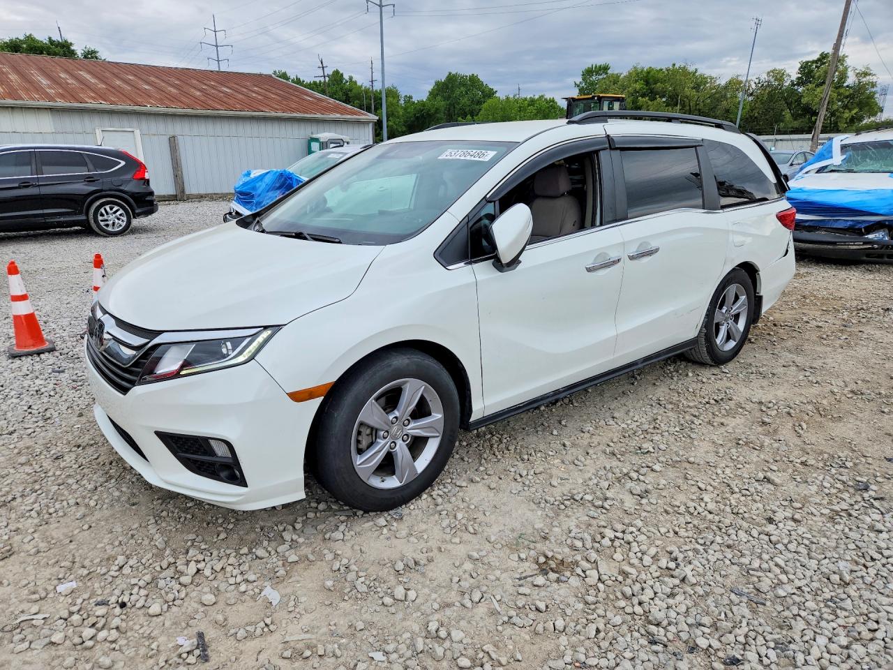 Salvage Honda Odyssey Image