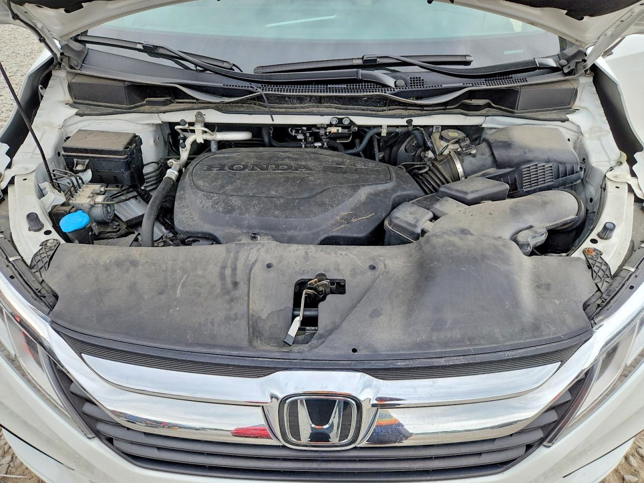 Honda Odyssey Ex