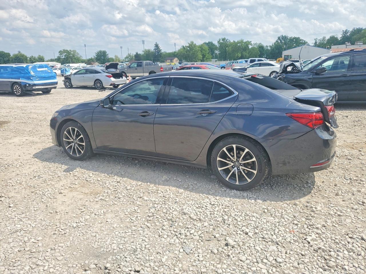 Acura TLX Tech