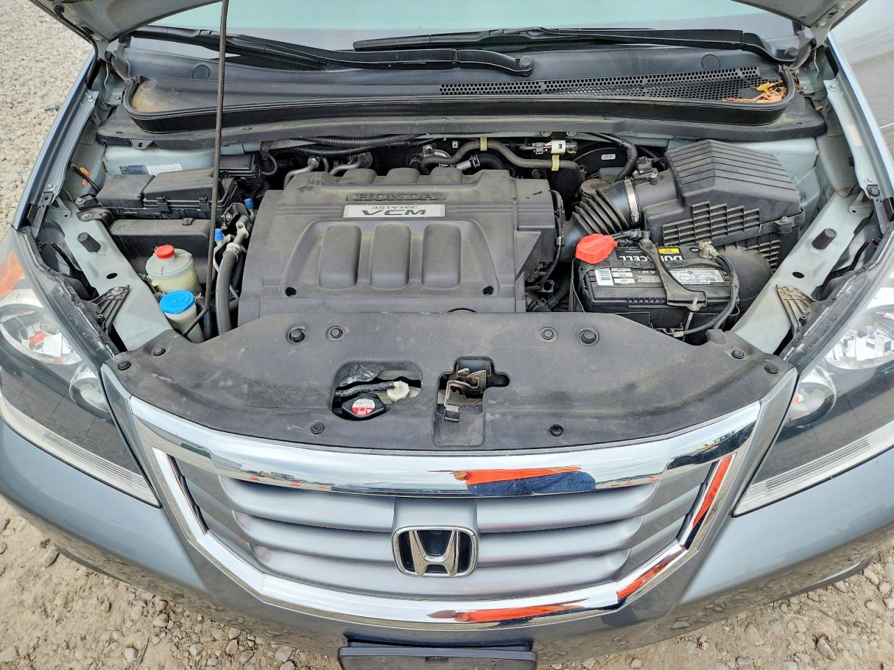 Honda Odyssey Exl
