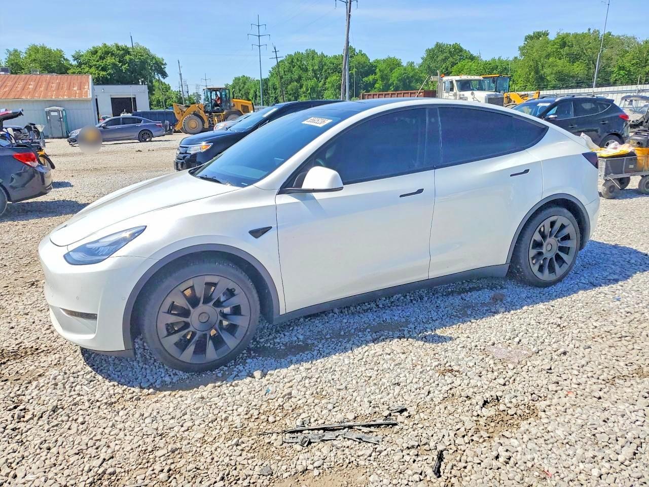 Salvage Tesla Model Y Image