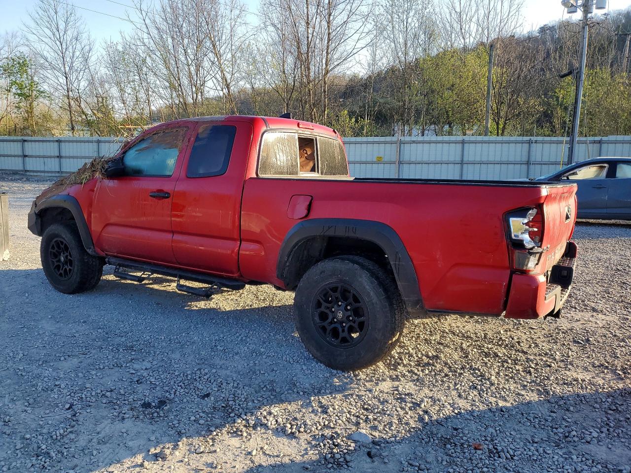 Toyota Tacoma Sr V6