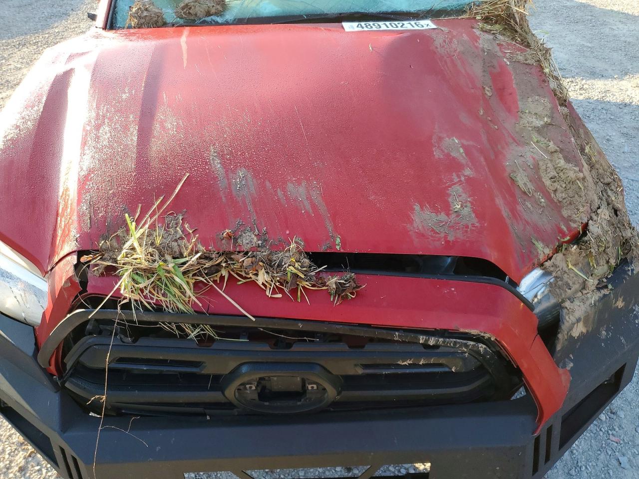 Toyota Tacoma Sr V6