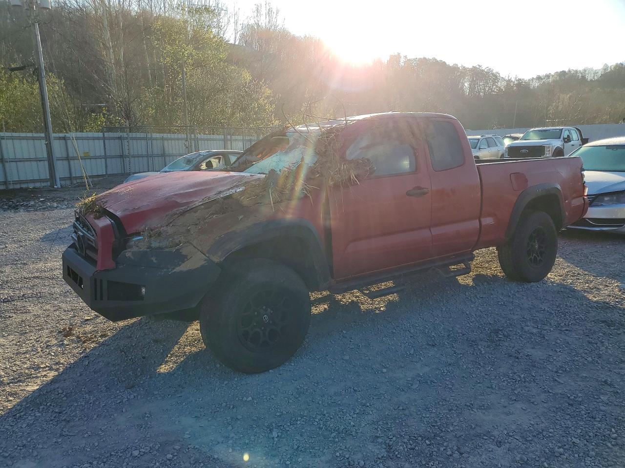 Salvage Toyota Tacoma Image