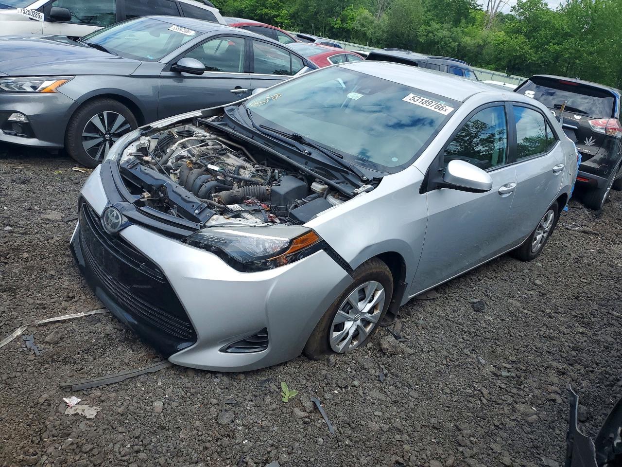 Salvage Toyota Corolla Image