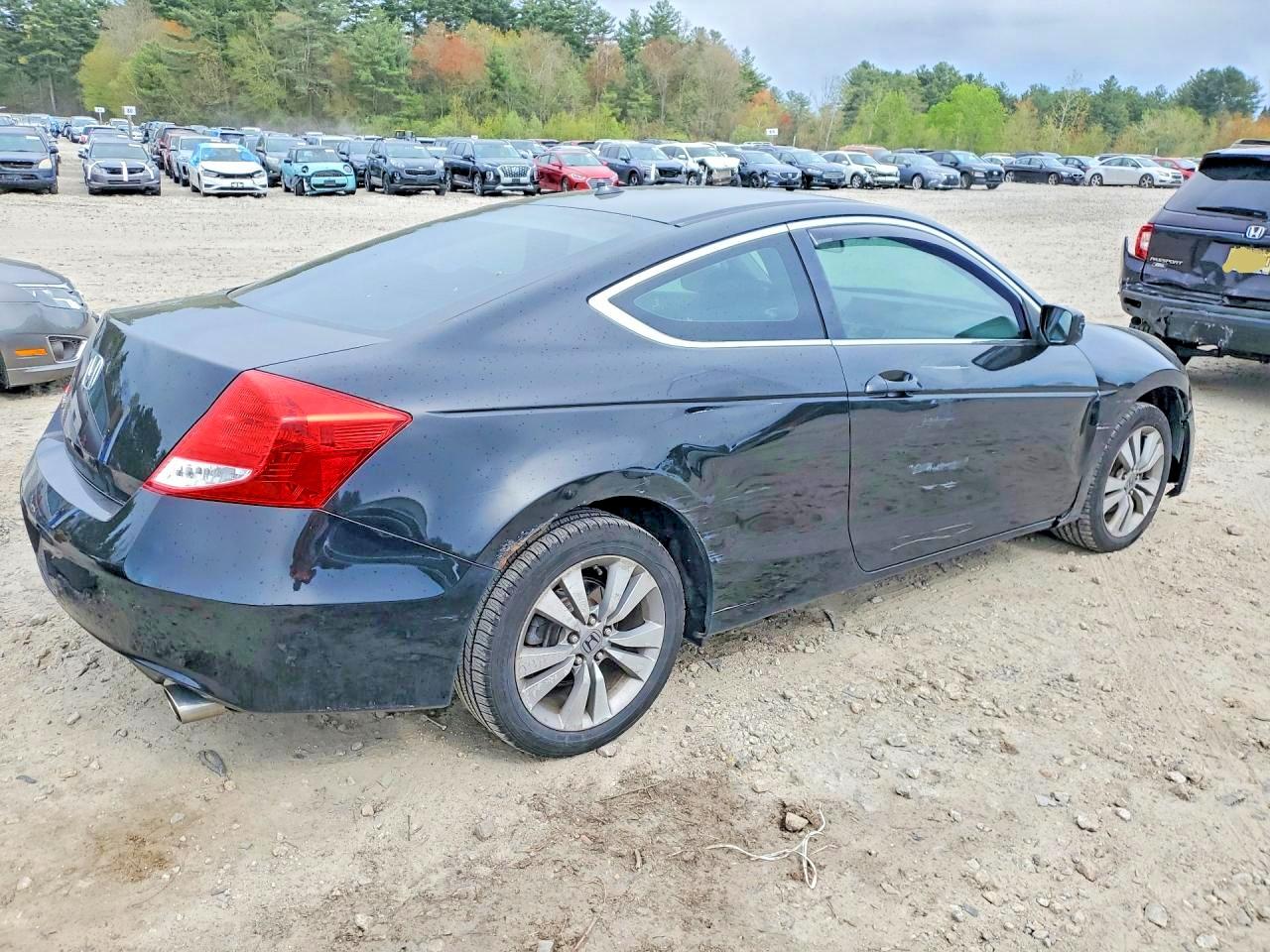 Honda Accord Exl