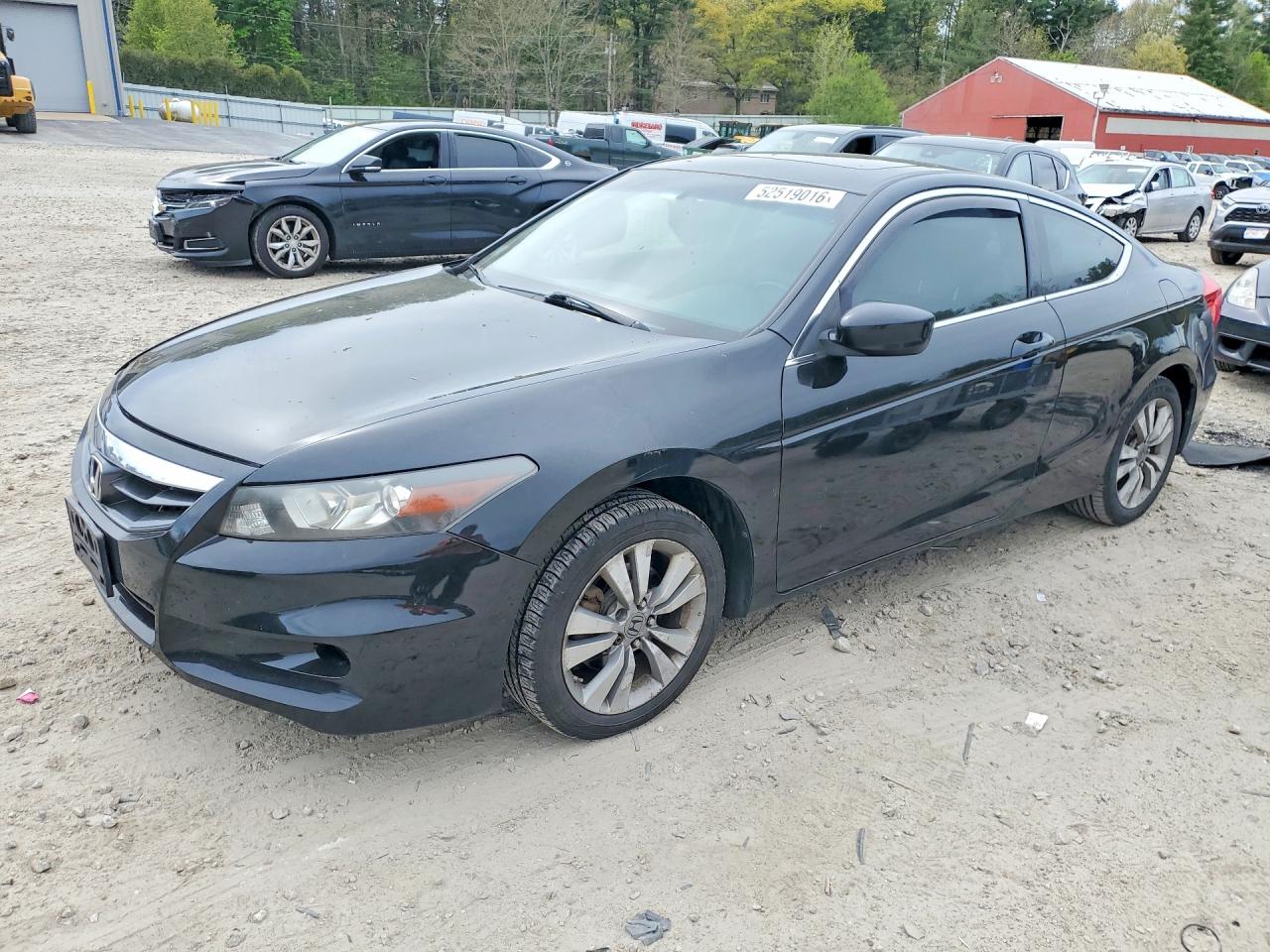Salvage Honda Accord Image