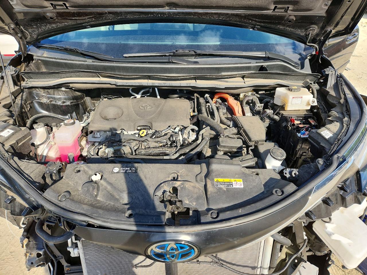 Toyota Sienna Le